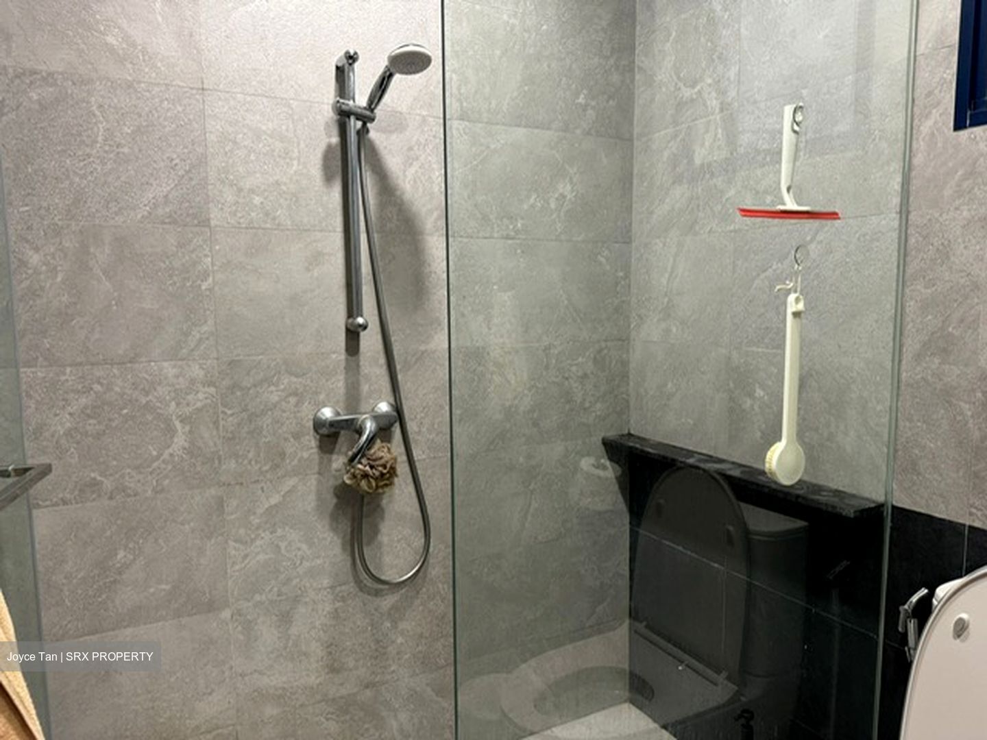 Nineteen Shelford Road (D11), Condominium #447063471